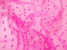 Tüll Dobby - 3D Punkte - pink