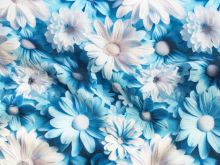 Nahaufnahme von Jersey 3D Digitaldruck - schöne Blümchen - blau - weiß